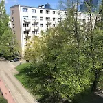 Złota 81